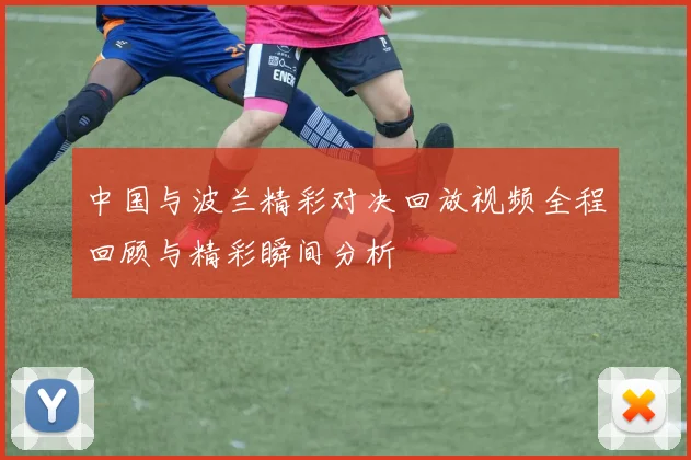 中国与波兰精彩对决回放视频全程回顾与精彩瞬间分析