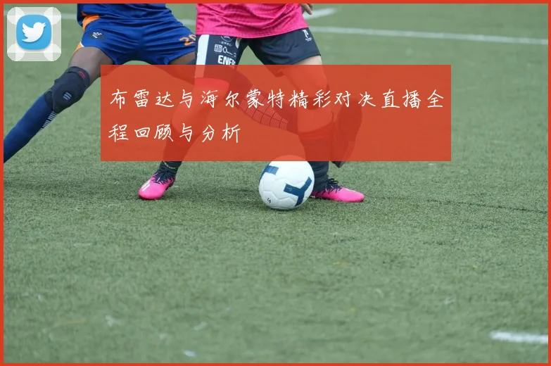 布雷达与海尔蒙特精彩对决直播全程回顾与分析