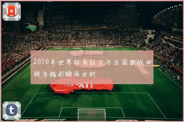 2010年世界杯乌拉圭与法国激战回顾与精彩瞬间分析